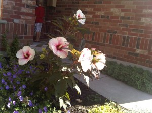 dormant branches flourish